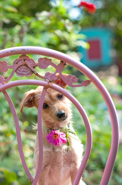 Inspiring Garden Photography